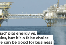 Boat strikes can harm or kill whales and are one concern about the oil industry’s environmental impact. Robyn Beck/AFP via Getty Images